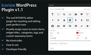 Iconize premium WordPress Plugin